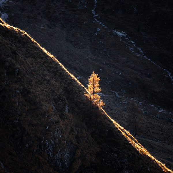 Dolomites - Limited Edition Print