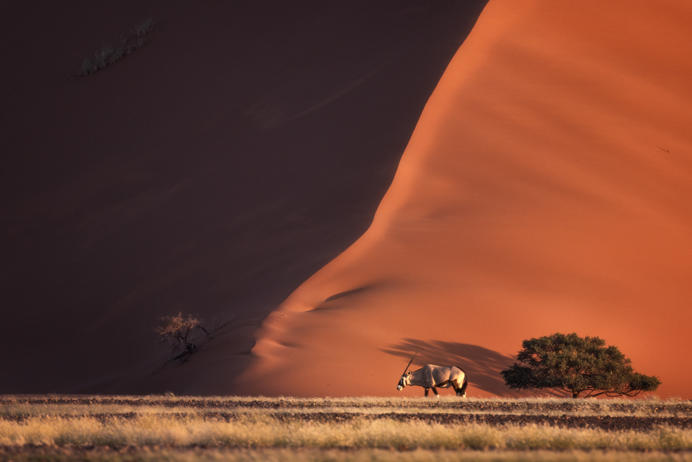 NAMIBIA photo tour