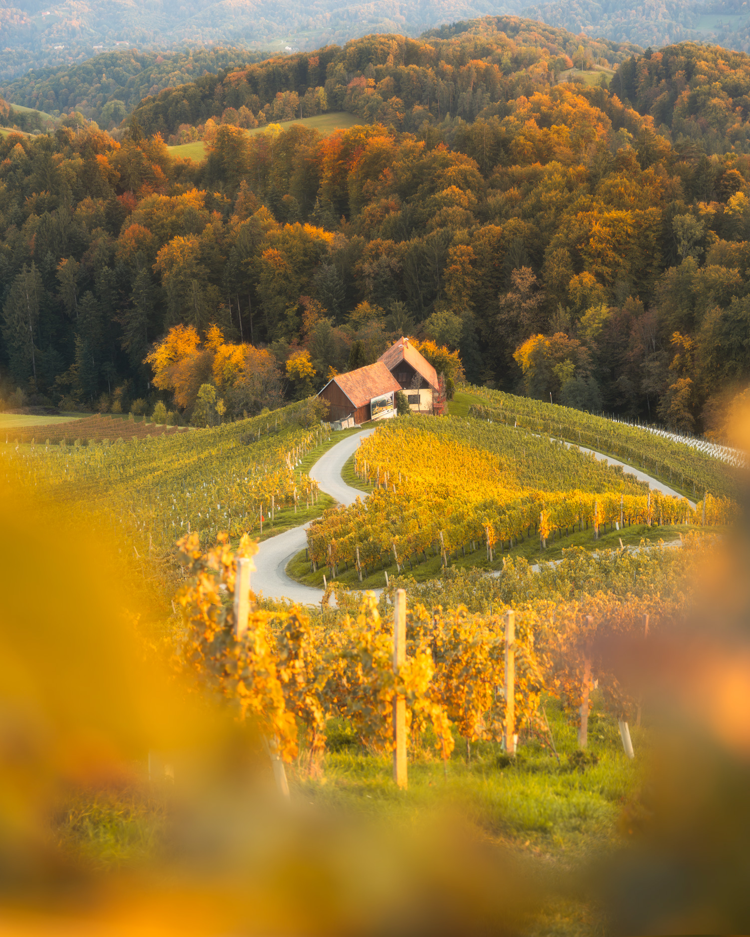 Wine farm among autumn vineyards at sunset, heart-shaped road, Styria wine region, Slovenia